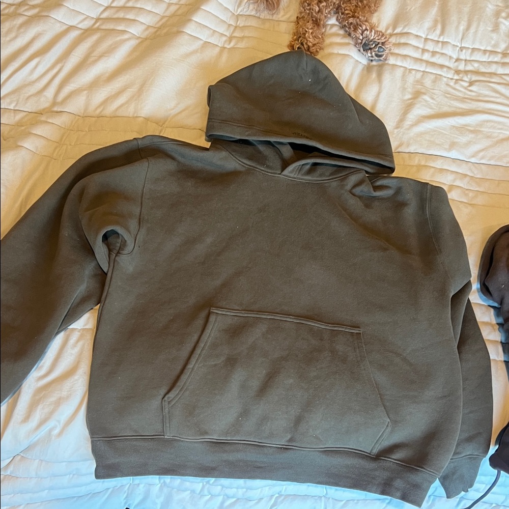 Aritzia Olive Green Hoodie